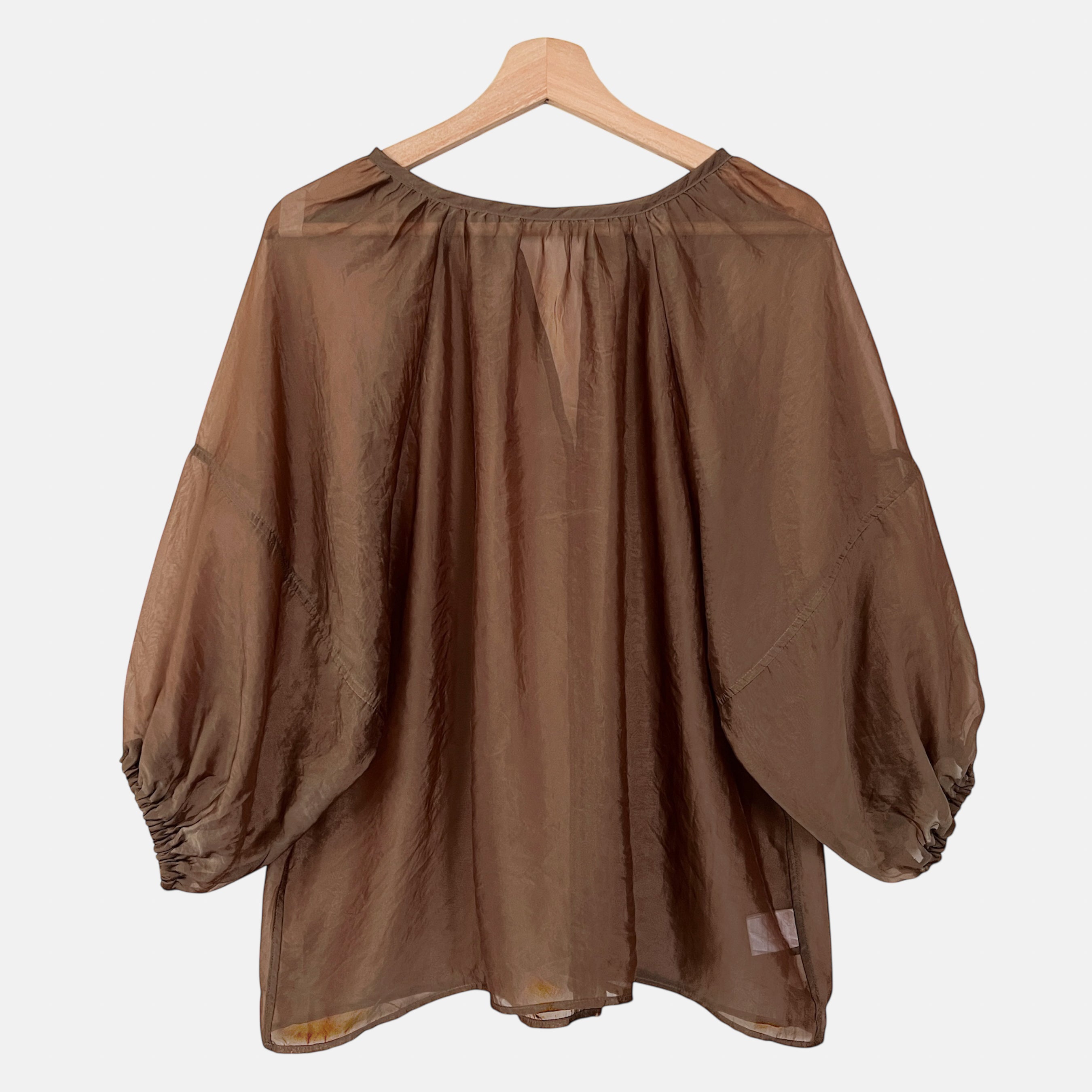 Sheer Loose Top (B11925-5)